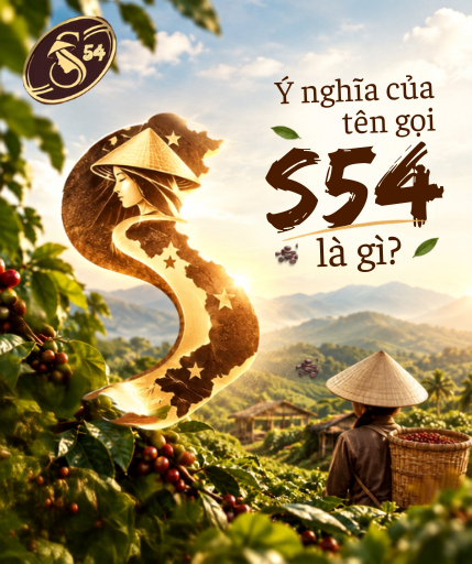 Ý Nghĩa Của Tên Gọi S54 Là Gì?