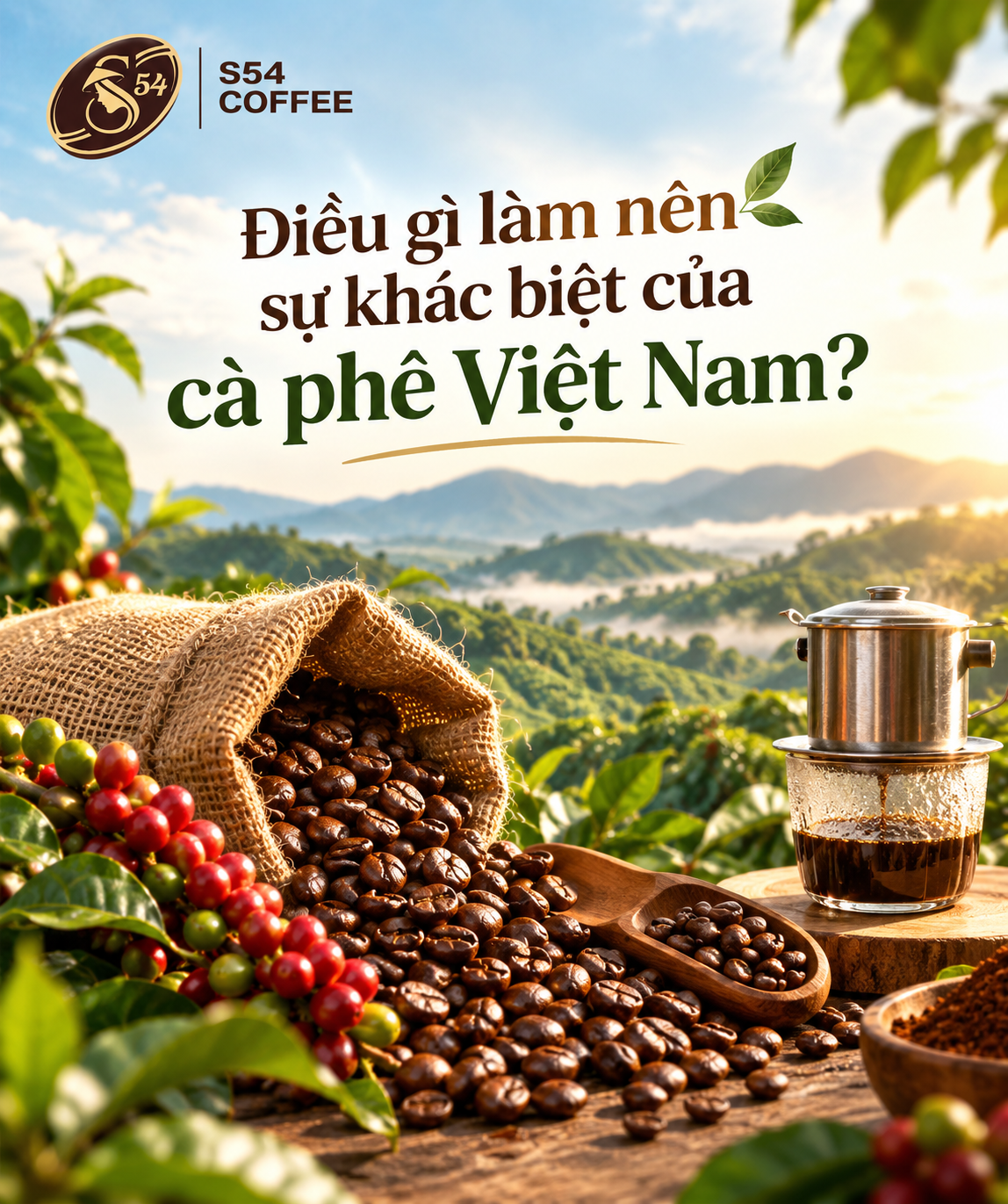 Điều Gì Làm Nên Sự Khác Biệt Của Cà Phê Việt Nam?
